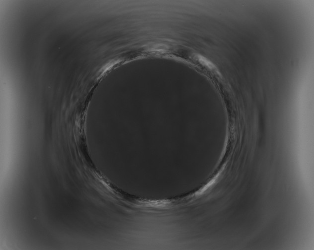 X0000086091353200704132116