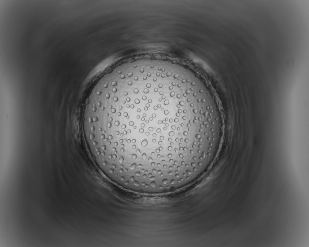 X0000086091354200704132116