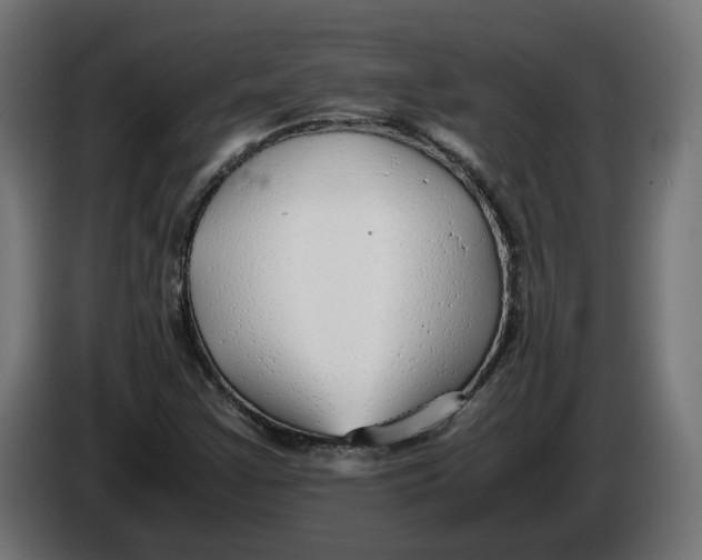 X0000086091355200704132116