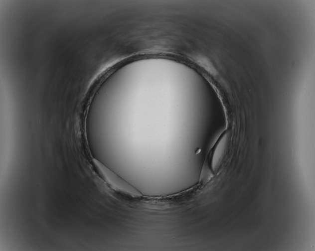 X0000086091356200704132116