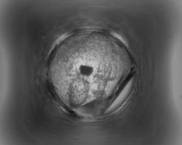 X0000086091357200704132116