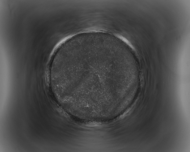 X0000086091358200704132116