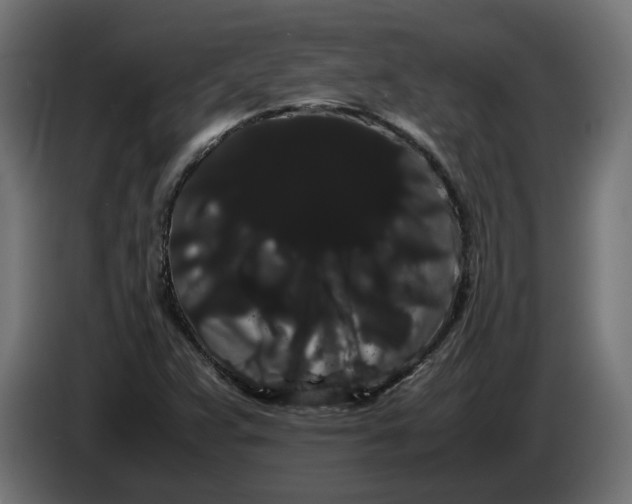 X0000086091359200704132116