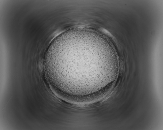 X0000086091361200704132116