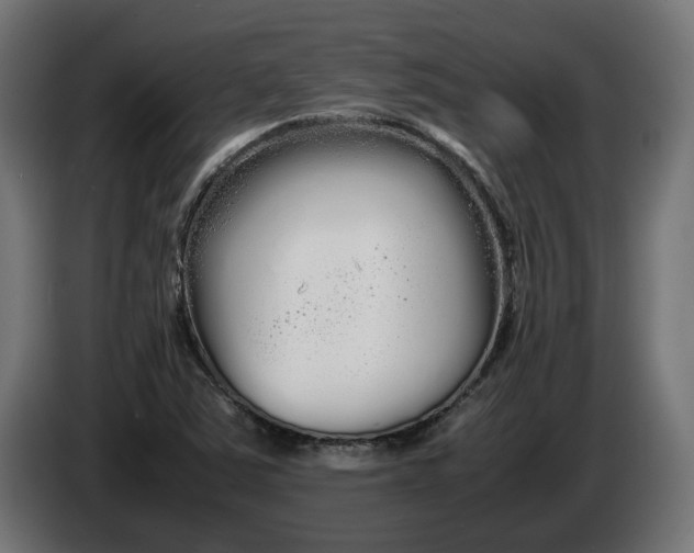 X0000086091363200704132116