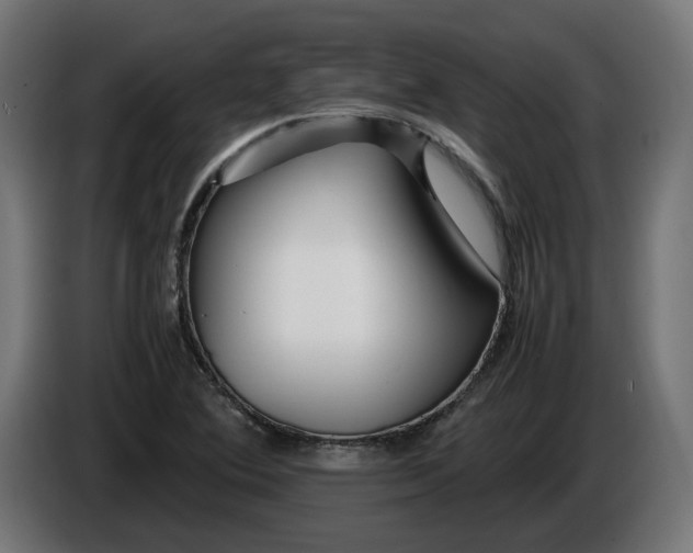 X0000086091364200704132116