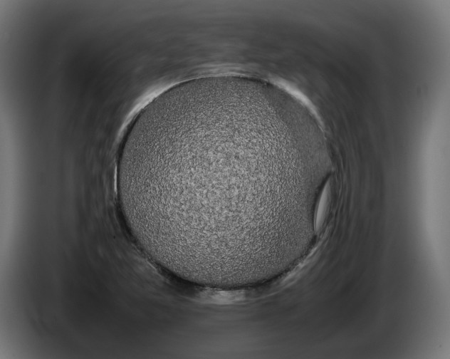 X0000086091365200704132116