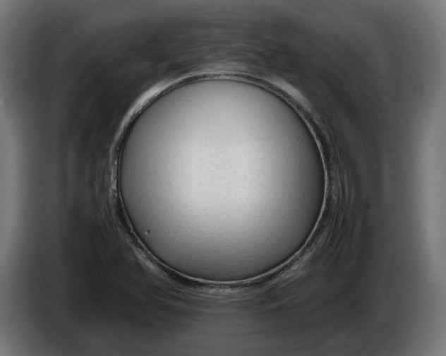 X0000086091366200704132116