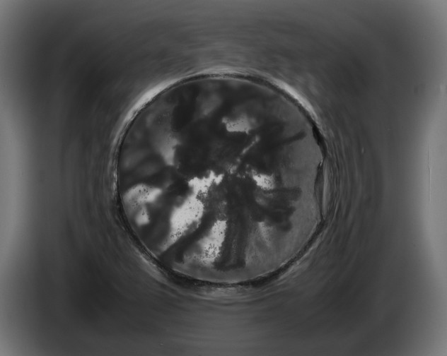 X0000086091367200704132116