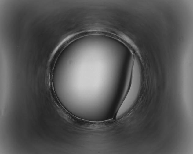 X0000086091368200704132116