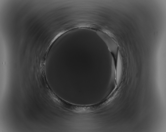 X0000086091369200704132116