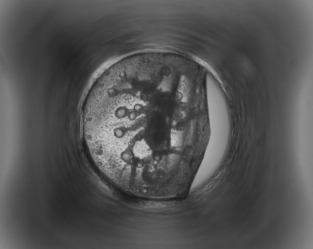 X0000086091371200704132116