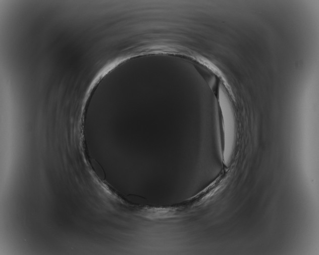 X0000086091373200704132116