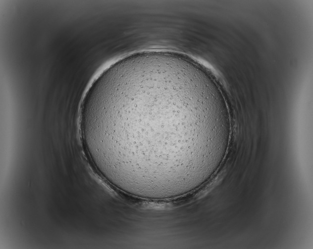 X0000086091374200704132116