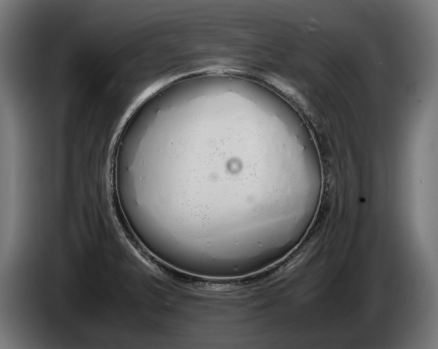 X0000086091375200704132116