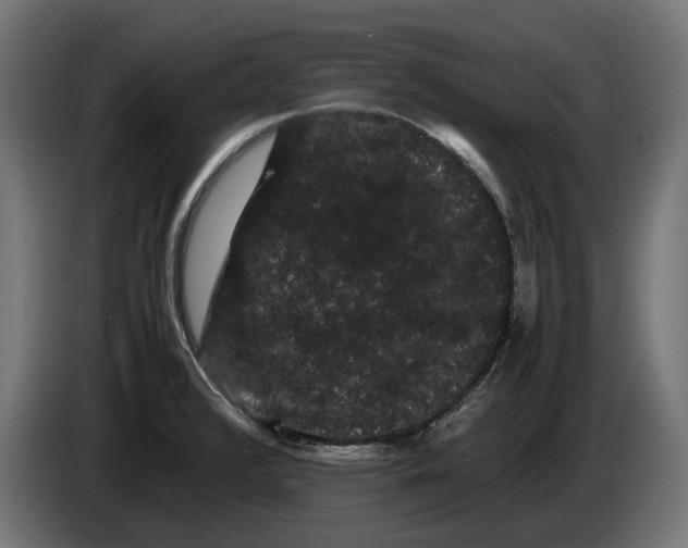 X0000086091376200704132116