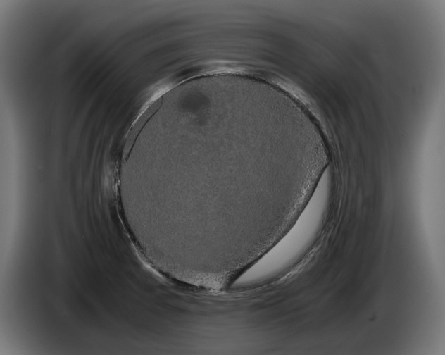 X0000086091377200704132116