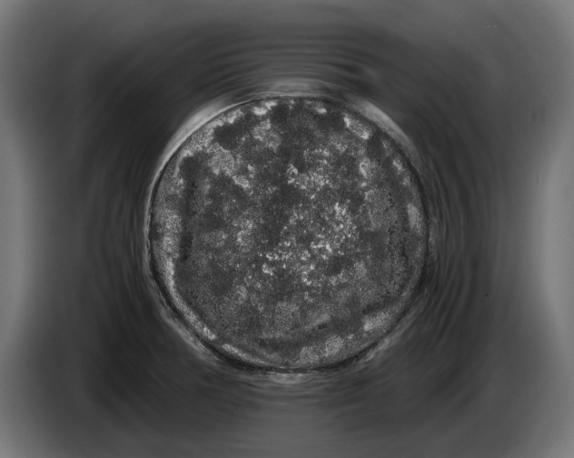 X0000086091378200704132116