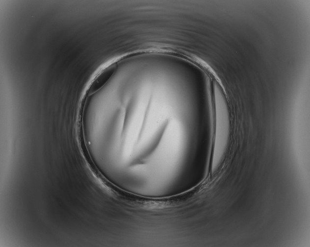 X0000086091379200704132116