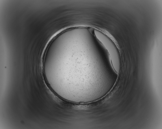 X0000086091380200704132116