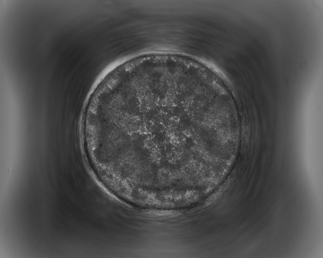 X0000086091382200704132116