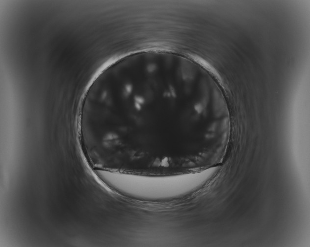 X0000086091383200704132116