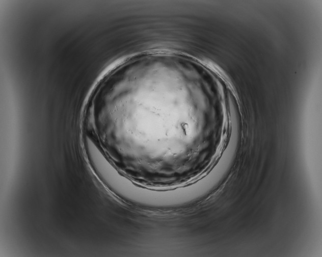 X0000086091384200704132116