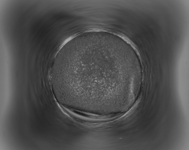 X0000086091385200704132116