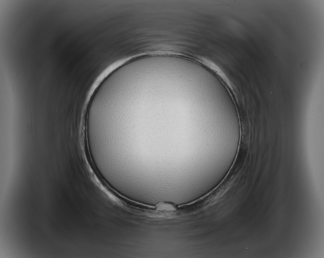 X0000086091387200704132116