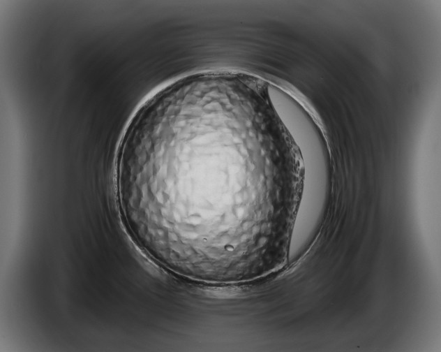 X0000086091388200704132116