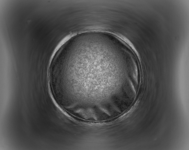 X0000086091389200704132116