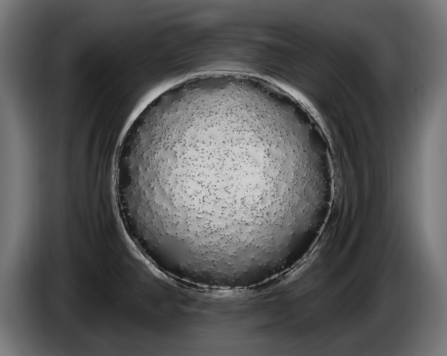 X0000086091390200704132116