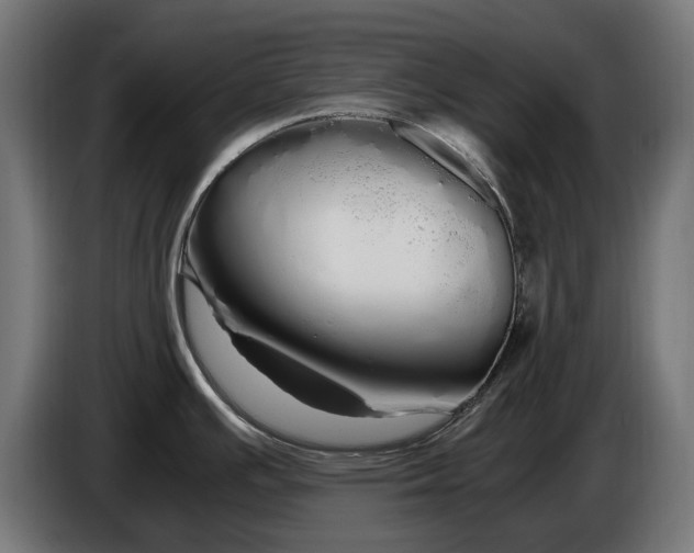 X0000086091391200704132116