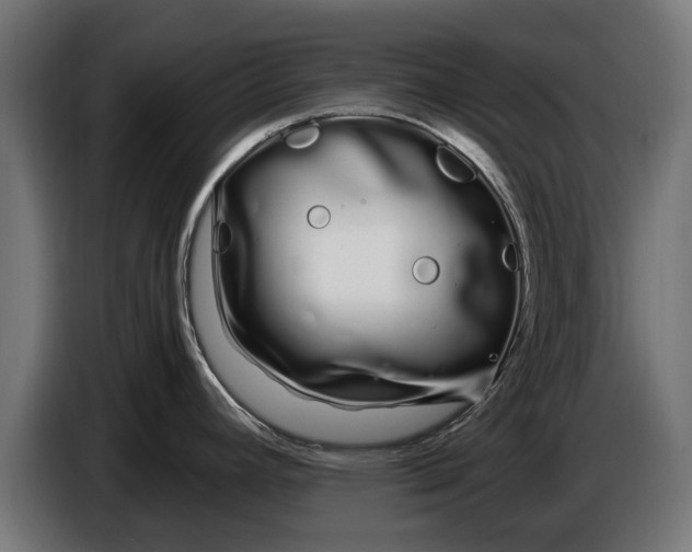 X0000086091392200704132116