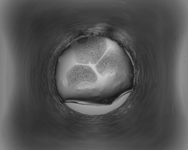 X0000086091393200704132115