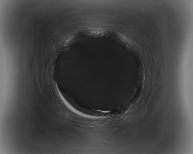 X0000086091394200704132115