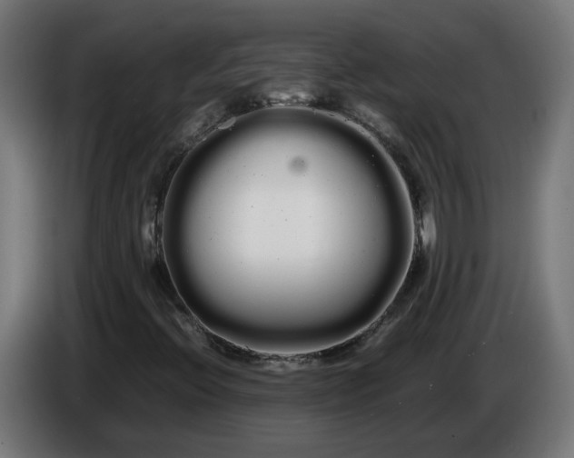 X0000086091396200704132115