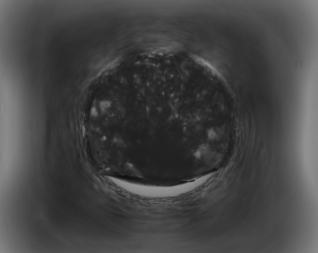 X0000086091399200704132115