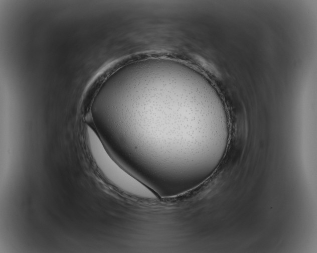 X0000086091400200704132115