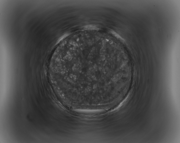 X0000086091401200704132115