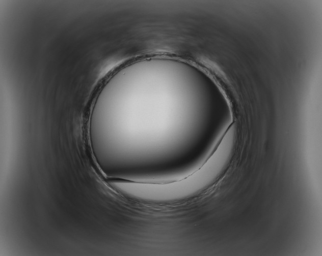 X0000086091404200704132115