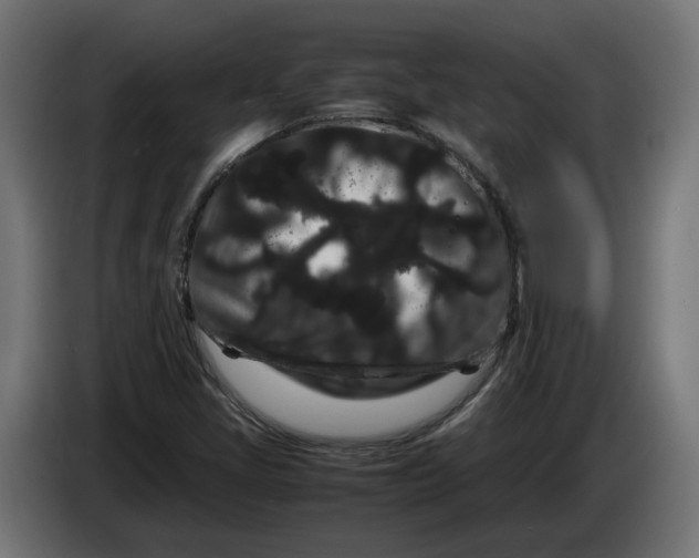 X0000086091405200704132115