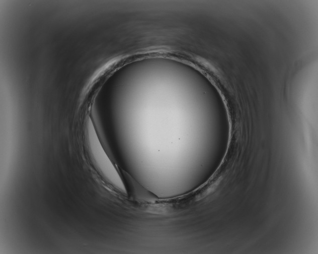 X0000086091406200704132115