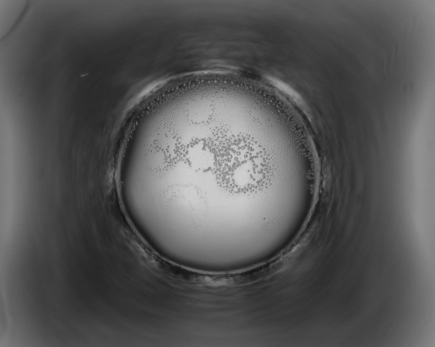 X0000086091407200704132115