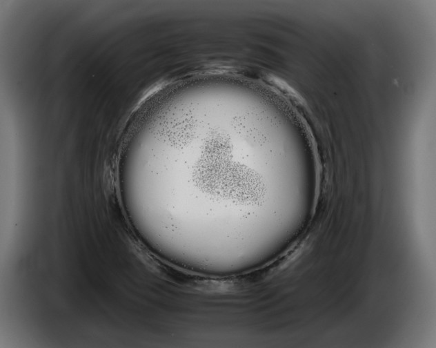 X0000086091409200704132115