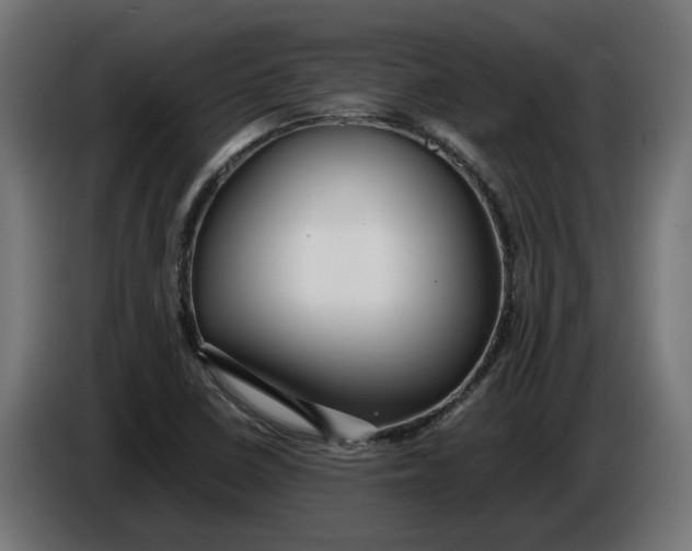 X0000086091410200704132115