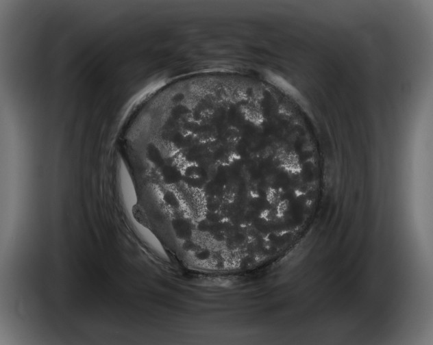 X0000086091411200704132115