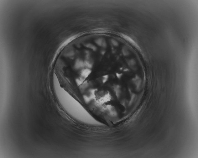 X0000086091413200704132115