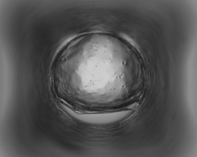 X0000086091415200704132115