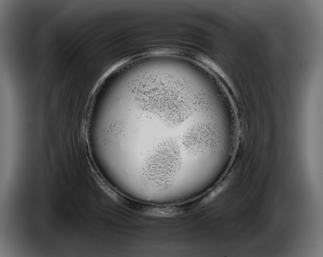 X0000086091417200704132115